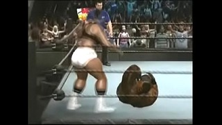 Sarita Vs Big V